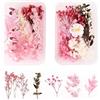 MUYAPAY Fiori Secchi Naturali, Scatolefiore Pressati Secchi, Materiali Decorazioni Floreali per Resina, Artigianato Fai Da Te (Rosa)