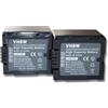 vhbw 2 x Batterie VHBW 1100mAh compatibile con Fotocamera Hitachi DZ-MV350A, DZ-MV350E, DZ-MV380A, DZ-MV380E, DZ-MV550A, DZ-MV580A
