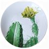 Excelsa Piatto piano Color cactus porcellana decorata Ø 27 cm 1 pezzo