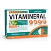 Dietmed - Vitamineral Cerebral Confezione 30X15 Ml