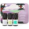 HP ITALIA Srl PURAE COFANETTO CON OLI ESSENZIALI BIO GIARDINI AROMATERAPICI OFFICINALI