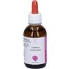 Santiveri Cornus Sanguinea Estratto Gliceroalcolico Gocce 50 ml orali
