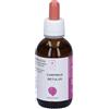 SantiveriCarpinus Betulus Estratto Gliceroalcolico Gocce 50 ml orali