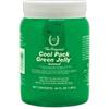 Chifa Gel Antinfiammatorio Cool Pack Green Jelly Per Cavalli 1,9l