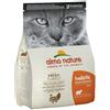 Almo Nature Holistic Maintenance Con Tacchino Fresco E Riso Cibo Secco Per Gatti Adulti Sacco 2kg