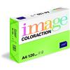 IMAGE Coloraction 838A 120S 26 Antalis DIN A4, 160 gr/mq- Carta per fotocopie, colore: Verde giada