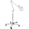 EDELWEISS BEAUTY Lente d'ingrandimento estetica a LED, 5 x lente d'ingrandimento a LED su 5 ruote/sul tavolo