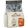 Almo Nature Holistic Maintenance Con Tacchino Fresco E Riso Cibo Secco Per Gatti Adulti Sacco 2kg