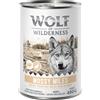 Wolf of Wilderness Adult "Expedition" 6 x 400 g umido per cane - Mossy Miles - Pollame con Coniglio