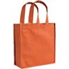 Shopper in tnt Francesca 22,5x25x10 cm personalizzate o neutre
