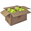 Wilson Confezione 72 palle tennis wilson triniti