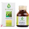ERBEX SRL PASSIFLORA 100 CAPSULE 380MG