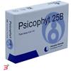 BIOGROUP SpA SOCIETA' BENEFIT PSICOPHYT REMEDY 25B 4 TUBI 1,2 G