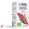ARKOFARM SRL ARKO CAPSULE OLIVO BIO 45 CAPSULE