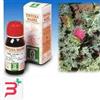 SPECCHIASOL SRL CARDO MARIANO 6 50ML TM