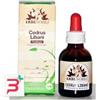 ERBENOBILI SRL FITOBLASTO CEDRUS LIBANI 50 ML