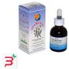 HERBOPLANET Srl EPARENOL GOCCE 50 ML