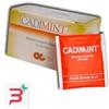 CA.DI.GROUP SPA CADIMINT 15 FILTRI 3 G