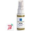 EPINUTRACELL Srl CELLFOOD MSM METIL SULFONIL METANO SOLUZIONE SALINA COLLOIDALE 30 ML