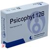BIOGROUP SpA SOCIETA' BENEFIT PSICOPHYT REMEDY 12B 4 TUBI 1,2 G