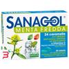 NAMED SRL SANAGOL MENTA FREDDA 24 CARAMELLE