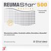STARDEA Srl REUMASTAR 500 20 BUSTINE 4,6 G