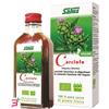 SALUS HAUS GMBH & CO KG CARCIOFO SUCCO 200 ML BIO