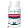 ERBA VITA GROUP SPA FUCUS 60 CAPSULE 500 MG