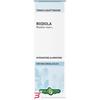 ERBA VITA GROUP SPA RODIOLA RADICE TINTURA IDROALCOLICA 50 ML