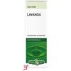 ERBA VITA GROUP SpA LAVANDA OLIO ESSENZIALE 10ML