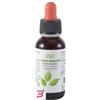 ADAMAH Srl EIE CARDO MARIANO GOCCE 30 ML