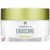 DIFA COOPER SPA ENDOCARE GELCREME BIOREPAR 30 ML