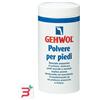 DUAL SANITALY SpA SOC.BENEFIT GEHWOL POLVERE PER PIEDI 100 G