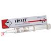 DDFARMA Srl VISVIT PASTA OS SIRINGA 15 G