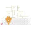BIOSEVEN SRL STRISCE MISURAZIONE GLICEMIA LINEA D ORO 50 PEZZI