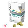 NEXTMUNE ITALY Srl DIRENE 32 COMPRESSE