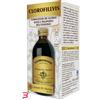 DR.GIORGINI SER-VIS Srl CLOROFILLVIS LIQUIDO ANALCOLICO 200 ML