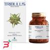 PROMOPHARMA SPA TRIBULUS 50 CAPSULE