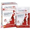 MONTEFARMACO OTC SpA CALMADOL CEROTTO RISCALDANTE PACK 6 PEZZI