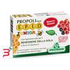 SPECCHIASOL SRL EPID JUNIOR 30 COMPRESSE NEW
