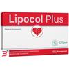 ANVEST HEALTH SpA SOC. BENEFIT LIPOCOL PLUS 30 COMPRESSE