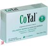 INTERFARMAC Srl COYAL 30 COMPRESSE 1300 MG