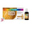 MARCO VITI FARMACEUTICI SpA MASSIGEN PAPPA REALE 10 FLACONI DA 25 ML
