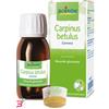 BOIRON Srl CARPINUS BETULUS MACERATO GLICERICO 60 ML INT