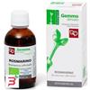 FITOMEDICAL Srl ROSMARINO MACERATO GLICERINATO BIO 50 ML