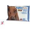 NEXTMUNE ITALY SRL IRYPLUS POCKET SALVIETTINE 20 PEZZI