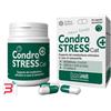 INNOVET ITALIA SRL CONDROSTRESS + CAT 30 CAPSULE MONODOSE