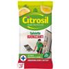 L.MANETTI-H.ROBERTS SPA DIV.MM CITROSIL SALVIETTE IGIENIZZANTI LIMONE 40 PEZZI