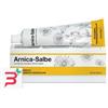 SCHWABE PHARMA ITALIA Srl ARNICA SALBE CREMA 50 G