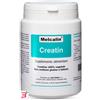 BIOTEKNA Srl MELCALIN CREATIN 190 G